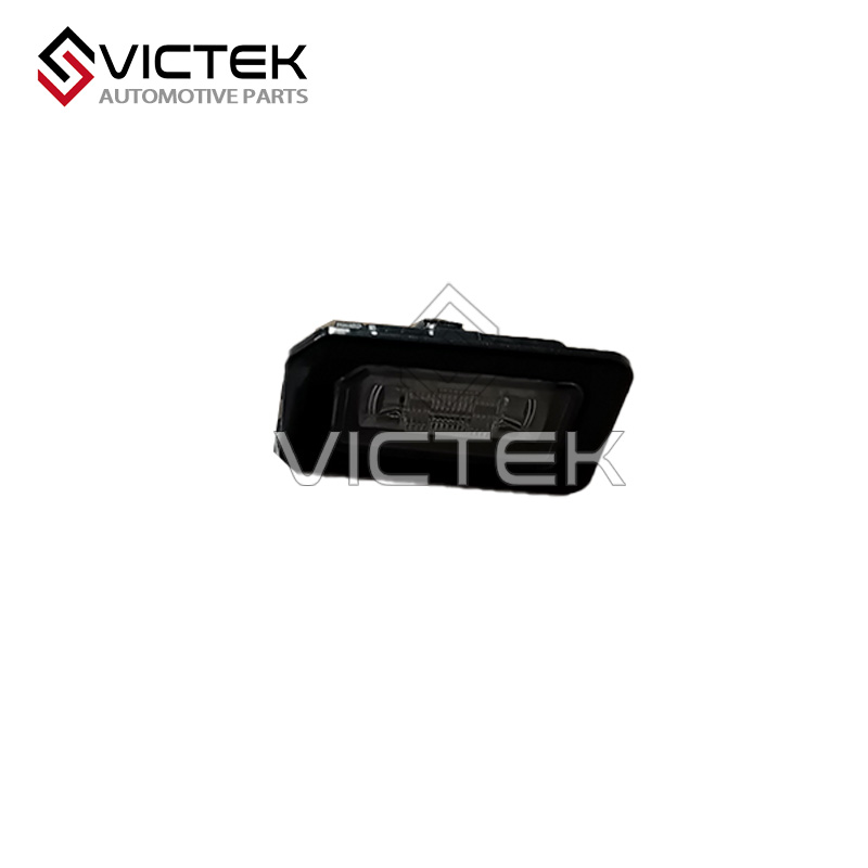 luz da placa de matrícula