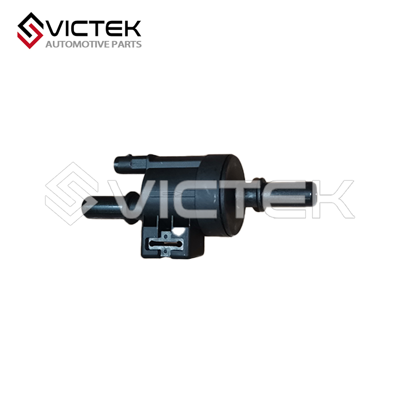 Conjunto de válvula de controlo, recipiente de carbono